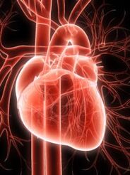 sistema cardiovascular e hipertensão